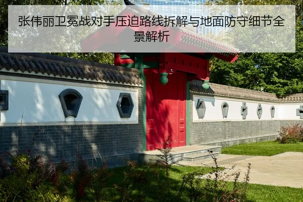 张伟丽卫冕战对手压迫路线拆解与地面防守细节全景解析