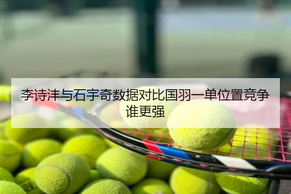 李诗沣与石宇奇数据对比国羽一单位置竞争谁更强